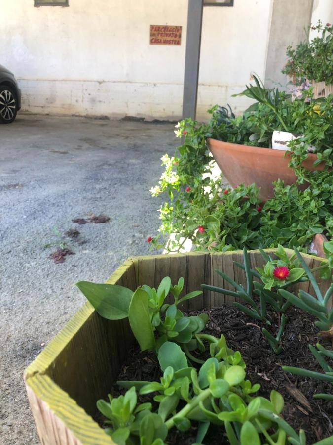 Casanostra Villa San Vito Chietino Esterno foto